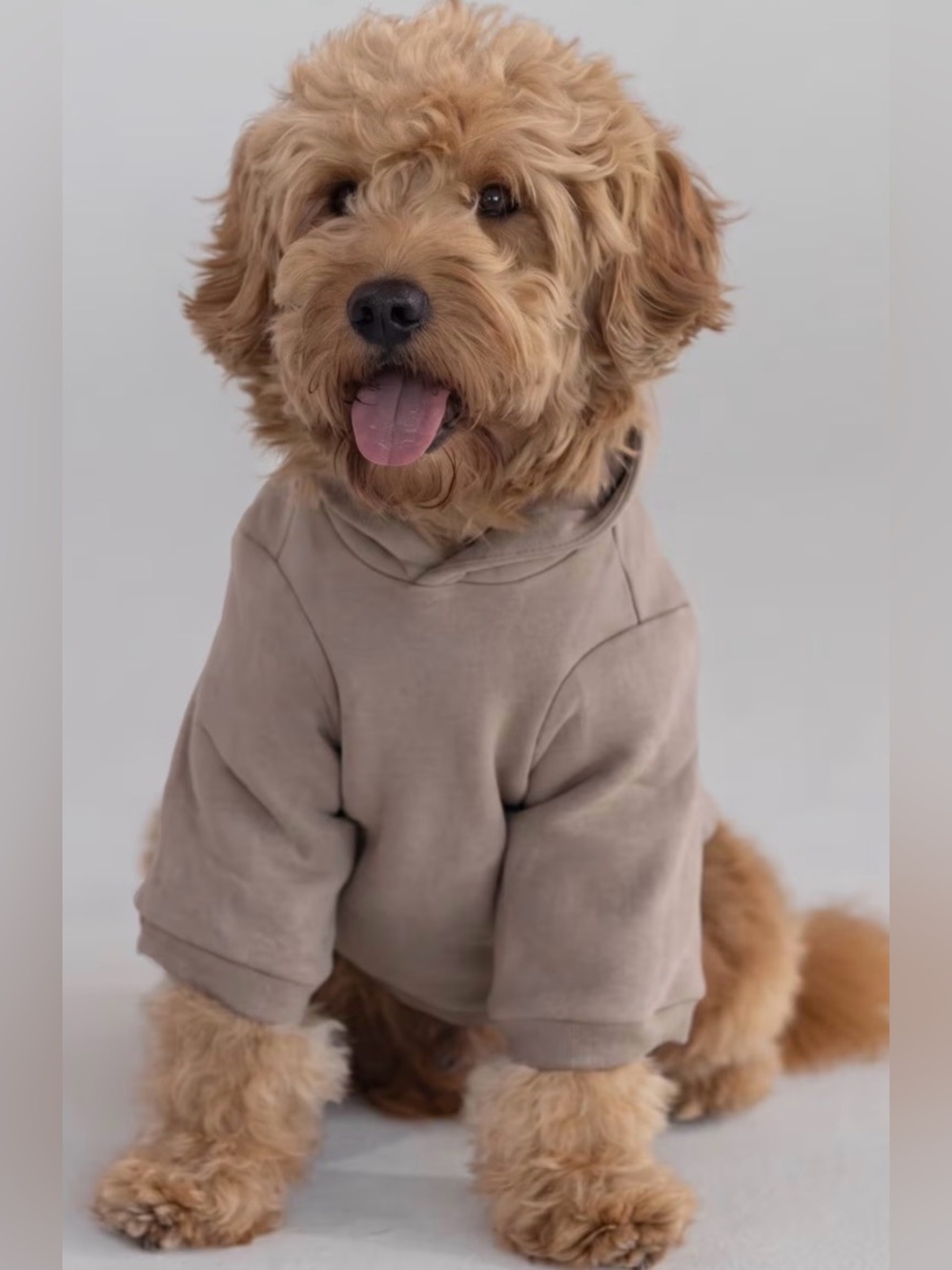 Comfrt brand Beige Dog Hoodie - Soft Pullover Pet Sweatshirt